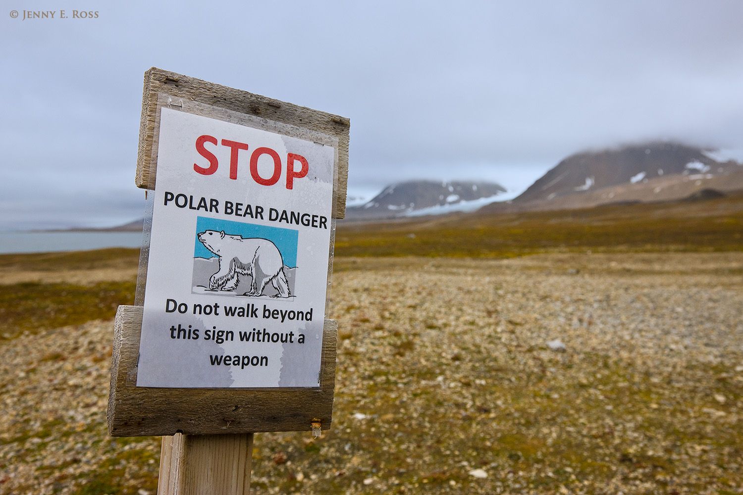 A sign warns of polar bear danger near Ny Ålesund on the island of Spitsbergen.