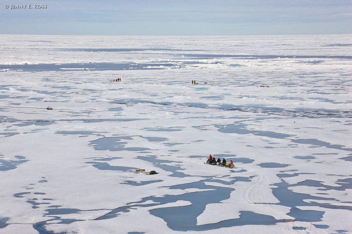 Arctic Sea Ice 2 - Life On Thin Ice