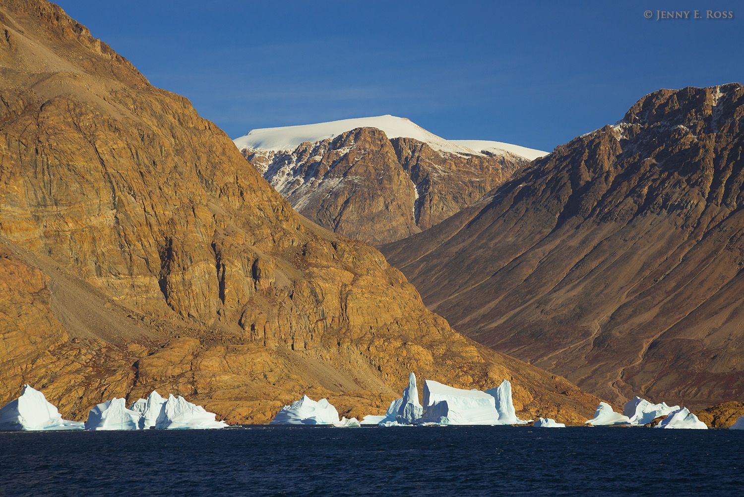 Snow-capped mountains incised by glaciers that have disappeared are flanked by giant icebergs in Scoresby Sund, East Greenland.