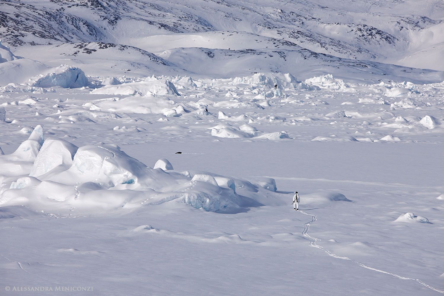 An Inuit hunter stealthily approaches a seal lying at its breathing hole on the sea ice in Sermilik Fjord, southeast Greenland.