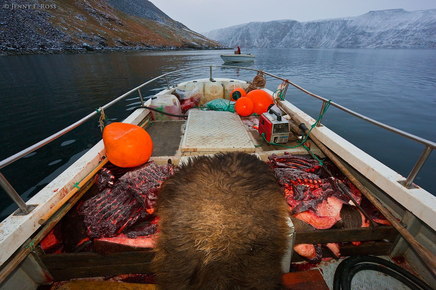 A small boat is filled with walrus and musk ox meat after a subsistence hunt by indigenous Greenlanders in remote Northwest Greenland.