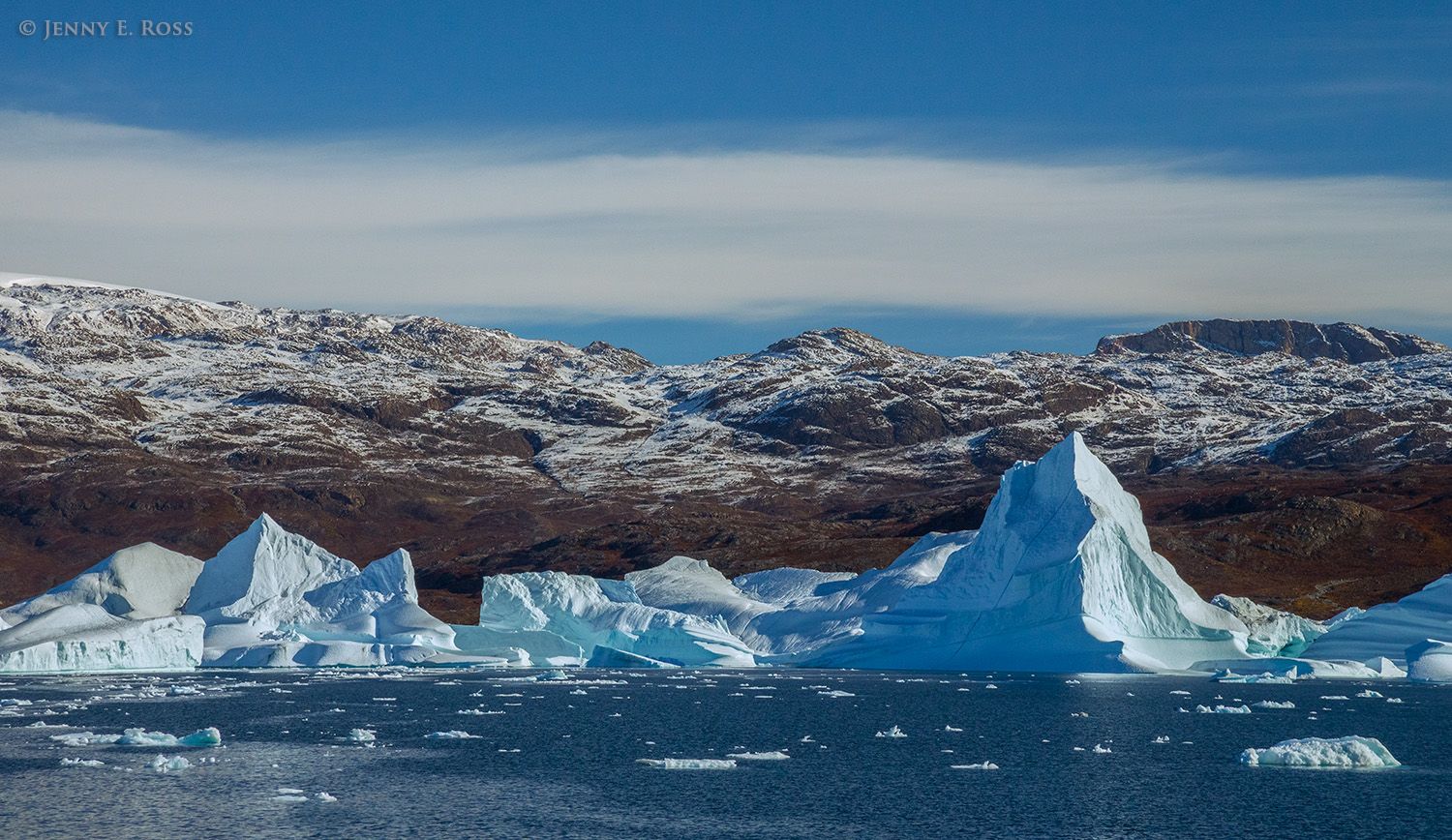 Icebergs at Red Island (Rode O) in Red Fjord (Rode Fjord), Scoresby Sund, East Greenland.