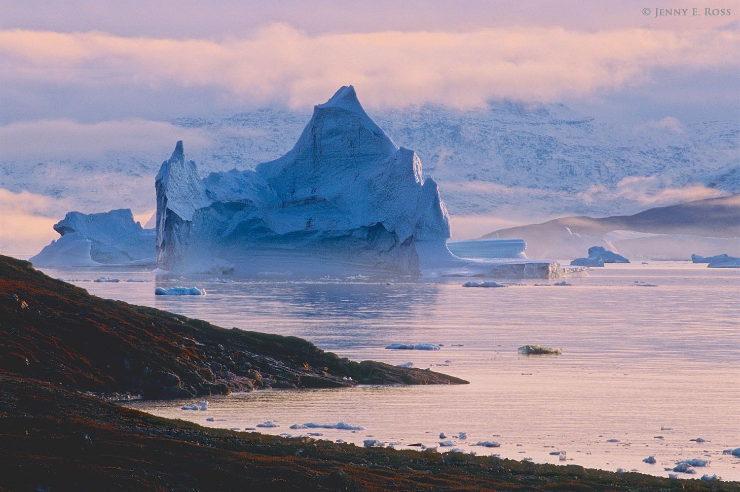 Sunset in Hurry Inlet, within Scoresby Sund, East Greenland. Small tundra plants with autumn foliage color the ground red.