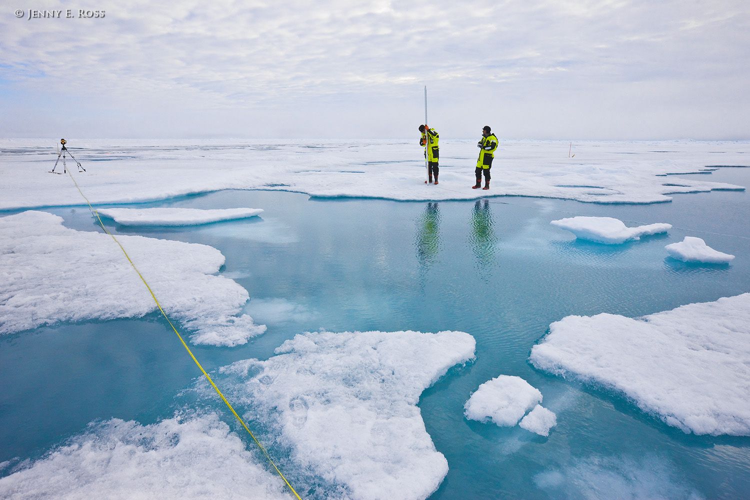 Arctic Sea Ice 2 - Life On Thin Ice