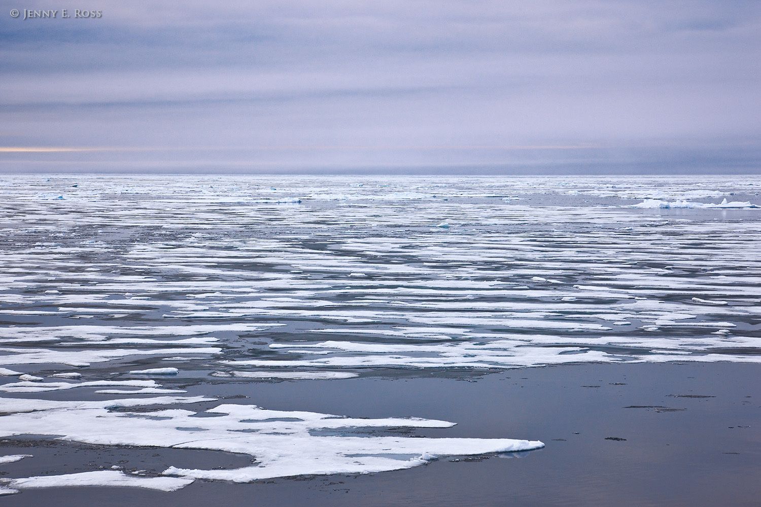 Melting Arctic sea ice in summer.