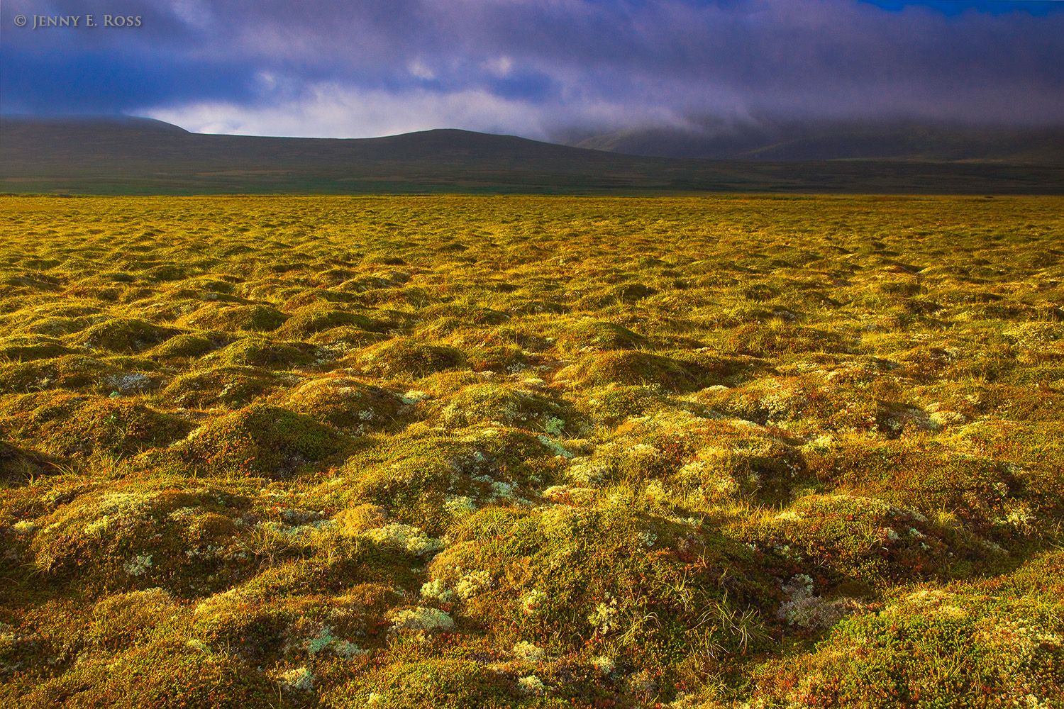 Approaching autumn storm over tundra, Onekotan Island, Kuril Islands, Russia.