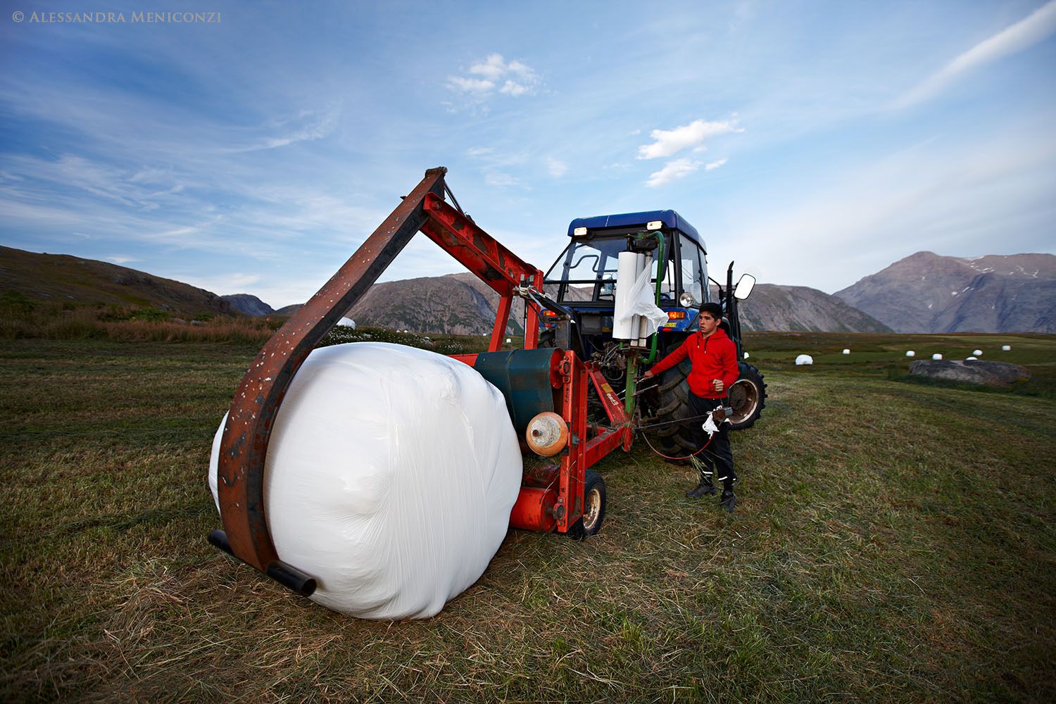 Hay baling at the Inneruulilak Farm in Tunulliarfik Fjord, South Greenland. The hay is wrapped in plastic for storage to feed sheep during the winter.