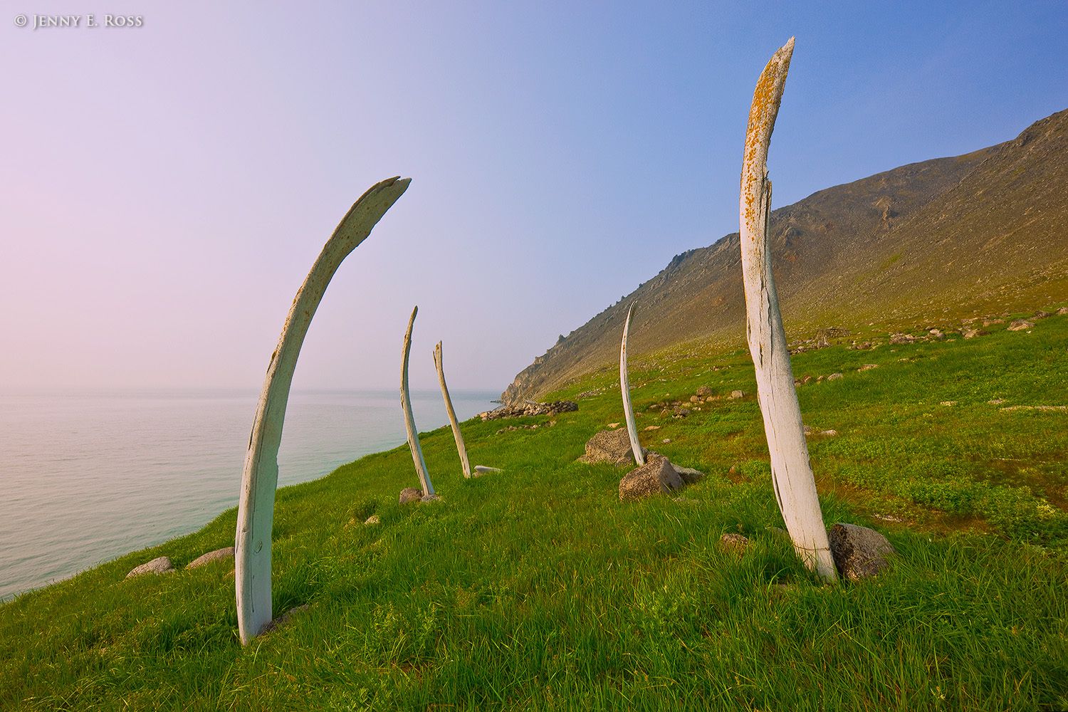 Ancient whale bone site, Cape Dezhnev, Chukotka, Bering Strait, Russia,.