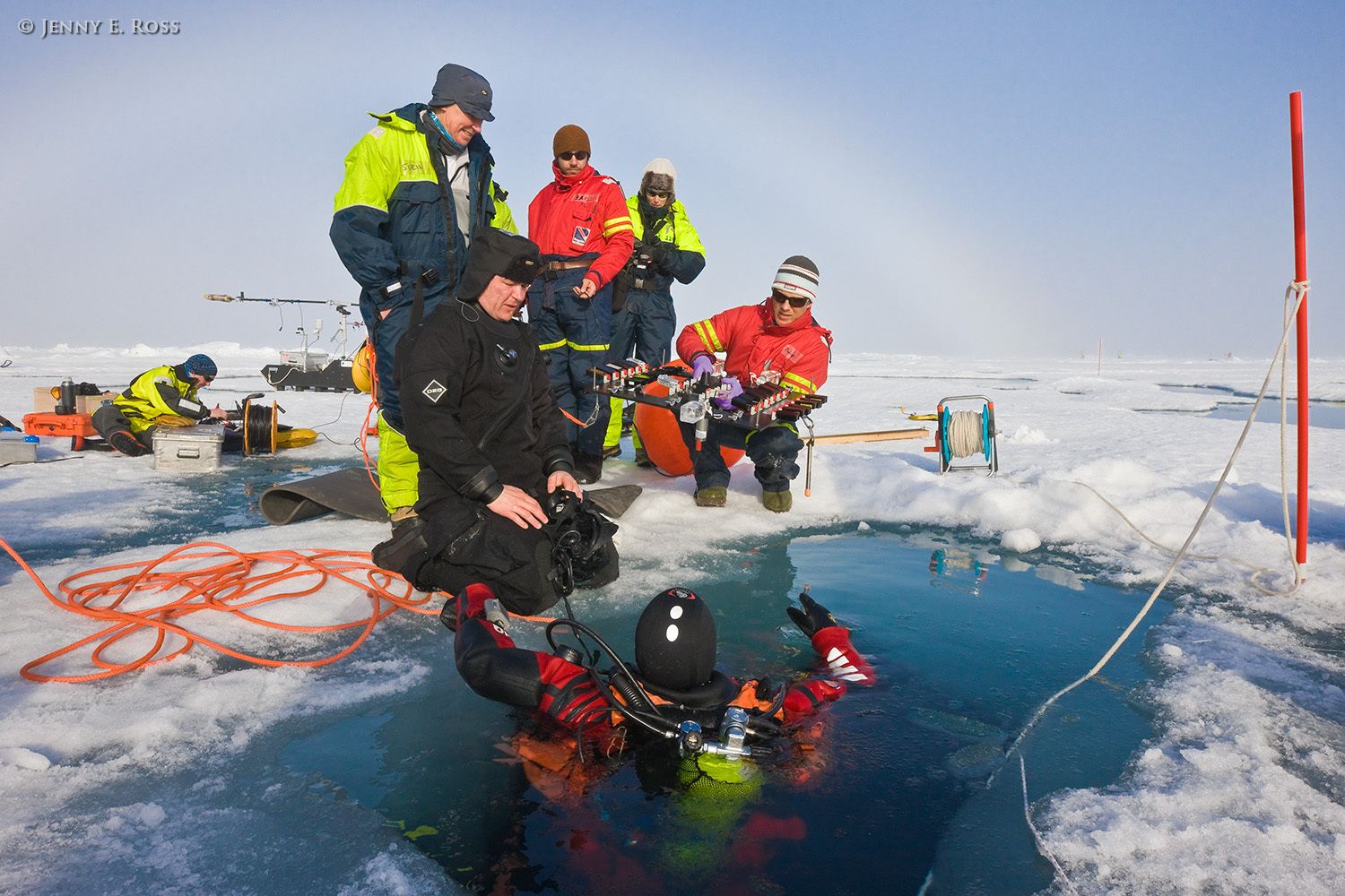 Norwegian Polar Institute scientists and scientific divers working an experiment involving timed incubation of ice algae and seawater samples beneath a large floe of sea ice in the Arctic Ocean. The work was done during NPI's 2012 "ICE" (Ice, Climate, Ecosystems) expedition in July-August 2012. The aim of the experiment was to assess ice-algae growth rates beneath different ice types and under varying light conditions. Scientific research on arctic sea ice, central polar basin, Arctic Ocean