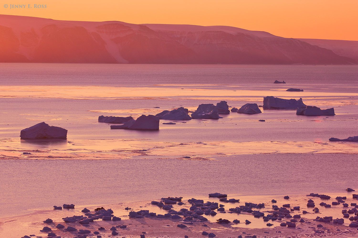 The colorful glow of a mid-October sunset illuminates icebergs in Murchison Sund, at the northern end of Baffin Bay in Northwest Greenland.