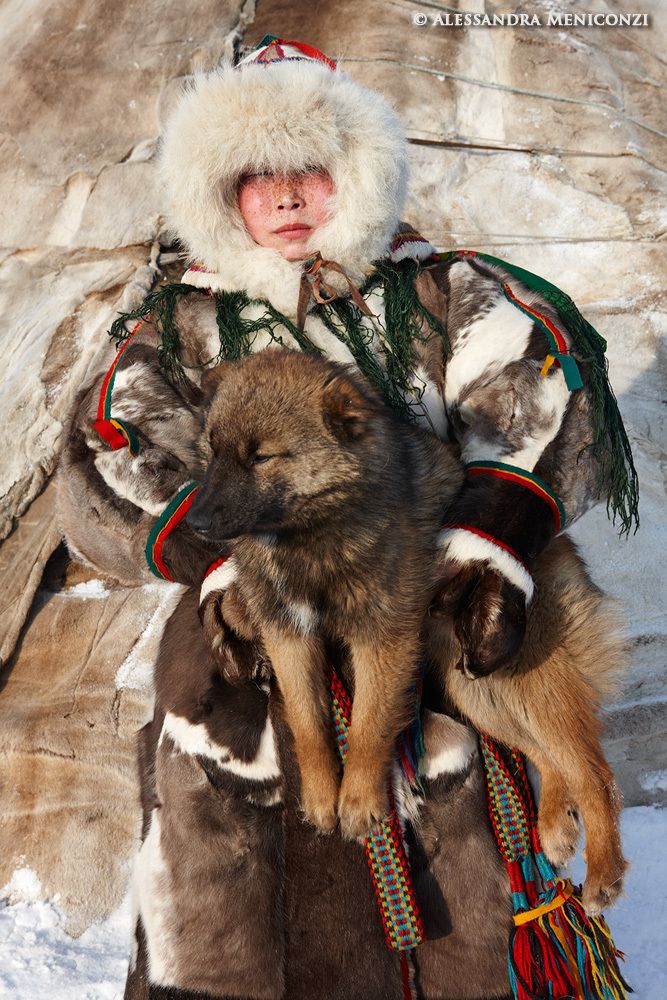 Yamal Peninsula, Siberia, Russian Federation. A young Nenet woman carries the family's dog (the breed is called Nenets Herding Laika), into their chum.