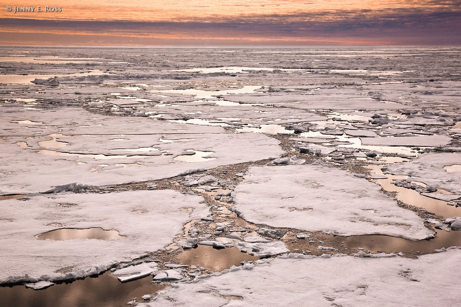 Melting Arctic sea ice in late summer.