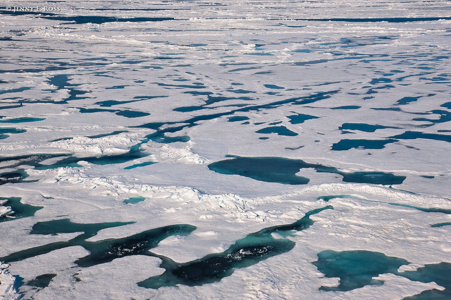Melting Arctic sea ice in summer