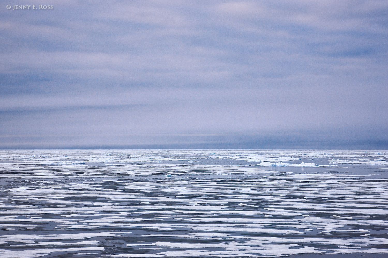 Melting Arctic sea ice in summer.