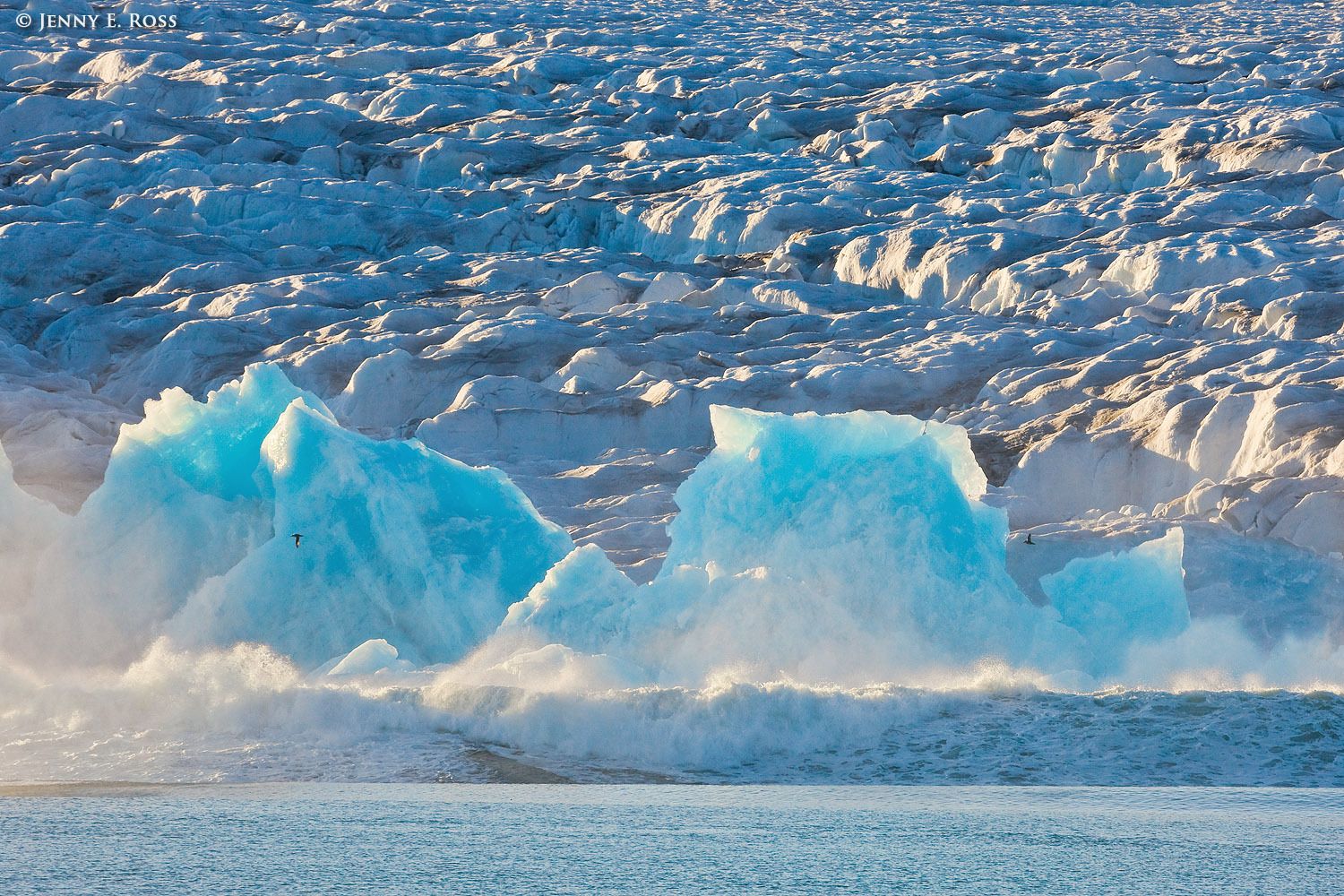 A large wave rolls away from the face of Lilliehookbreen (Lilliehook Glacier), following calving and disentegration of an immense chunk of ice.