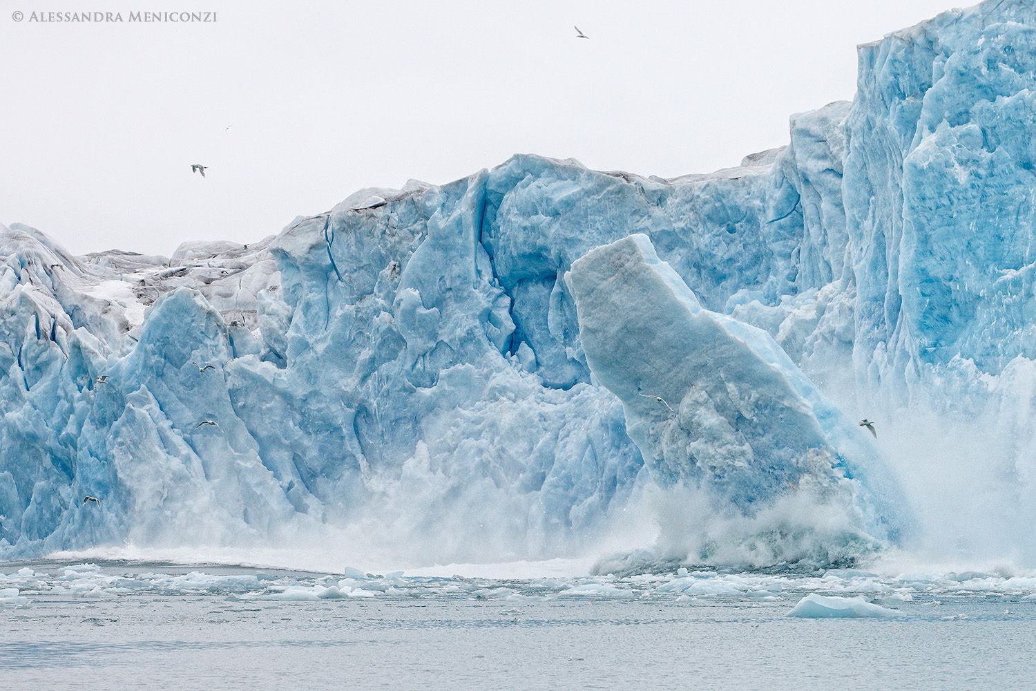 An enormous chunk of ice calves off the face of a glacier in Liefdefjorden, Spitsbergen.