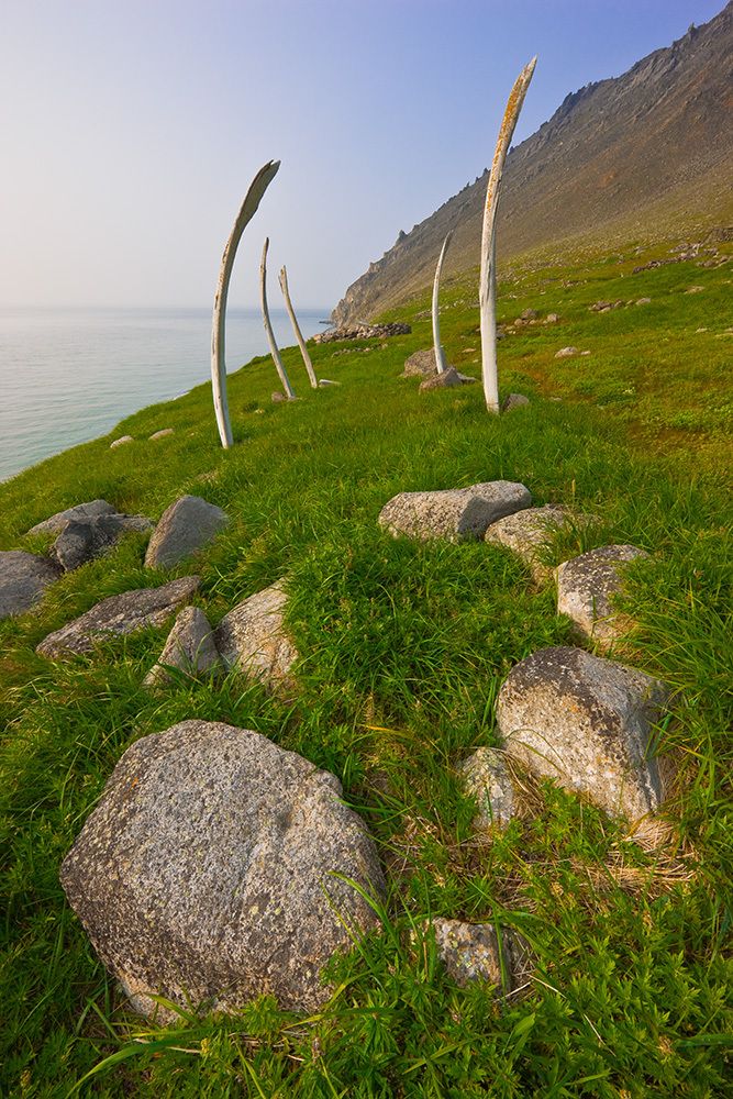 Ancient whale bone site, Cape Dezhnev, Chukotka, Bering Strait, Russia.