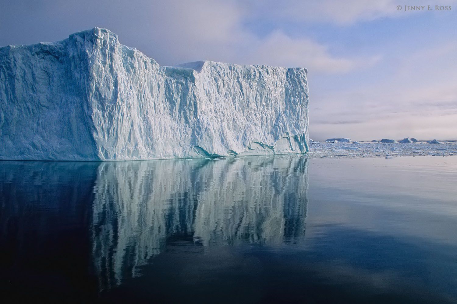 A large tabular iceberg in Rodefjord within Scoresby Sund, East Greenland.