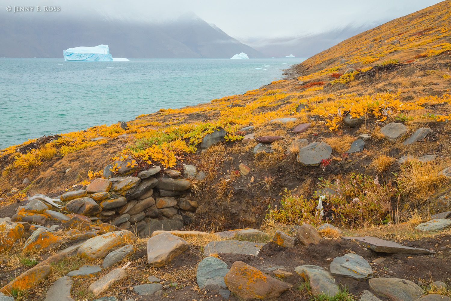 Remains of ancient Inuit village site, Kejser Franz Josef Fjord, Greenland.