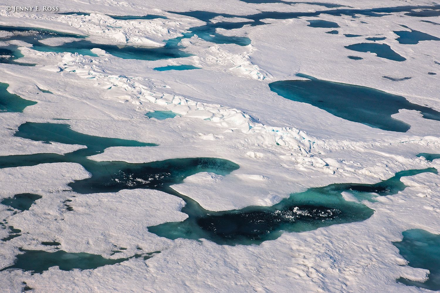 Melting Arctic sea ice in summer.