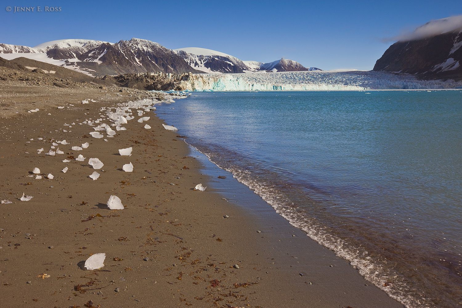Receding Glacier, Bukhta Legzdina, Severny Island, Novaya Zemlya, Barents Sea, Russia