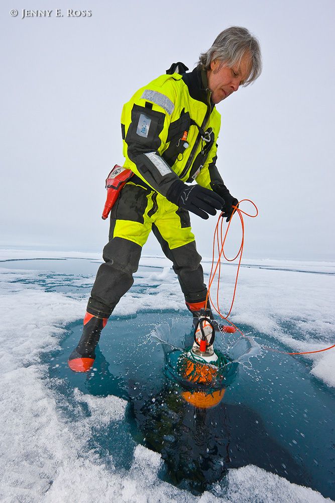 Norwegian Polar Institute geophysicist Dr. Arild Sundfjord, a physical oceanographer, deploys a scientific device through a hole in Arctic sea ice during a research expedition. The device is a tethered, free-falling, turbulence drop-sonde. The device’s primary function is to collect data concerning various turbulence characteristics at different ocean depths as it moves through the water column in a particular location. This work was conducted on a large floe of melting summer sea ice in the Arctic Ocean as part of NPI's 2012 "ICE" (Ice, Climate, and Ecosystems) expedition. The NPI research ship "RV Lance" was attached securely to this particular floe of ice, and the vessel moved with the floe as the ice floated freely in the ocean, for the duration of various on-ice research activities in July-August 2012. Although it appears that Dr. Sundfjord is standing on the surface of the water in the ice hole, in fact he is standing on water-saturated ice at the very edge of the hole -- the locat Scientific research on arctic sea ice, central polar basin, Arctic Ocean
