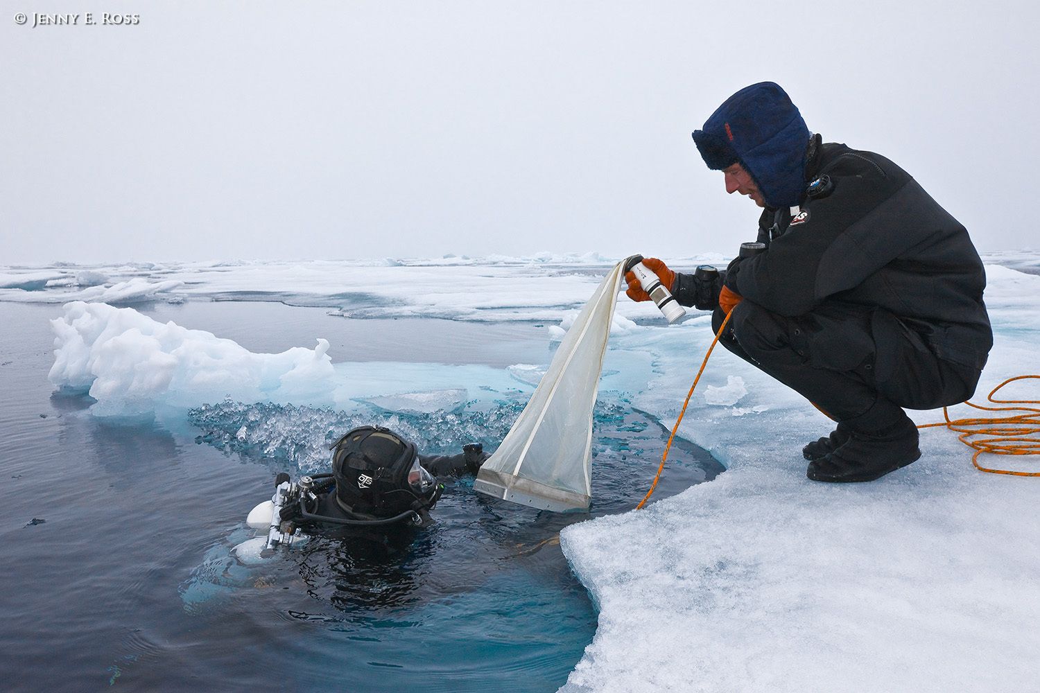 Norwegian Polar Institute scientific divers Michal Tessmann (in the water) and Peter Leopold (on the ice) prepare to deploy equipment for underwater research activities at a large floe of sea ice in the Arctic Ocean during NPI's 2012 "ICE" (Ice, Climate, Ecosystems) expedition in July-August 2012. Scientific research on arctic sea ice, central polar basin, Arctic Ocean