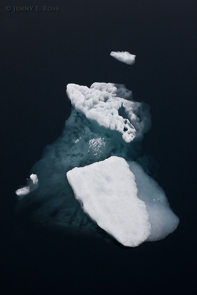 Rapidly-melting Arctic sea ice in summer, central polar basin, Arctic Ocean..