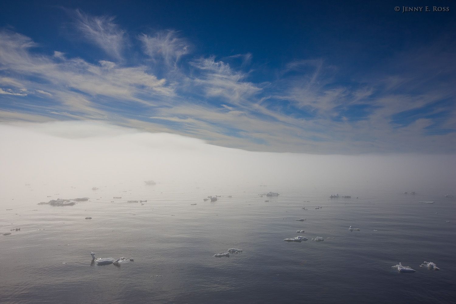 Lack of sea ice in the Barents Sea (Arctic Ocean), above 78 degrees north.