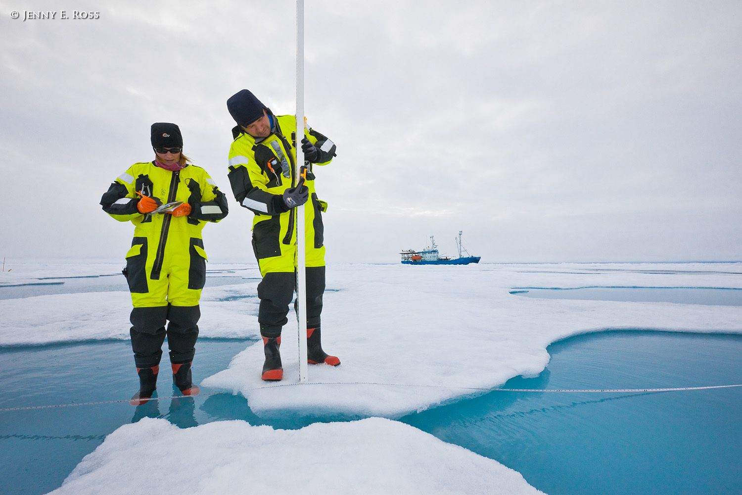 Norwegian Polar Institute sea ice scientists Dr. Christina Pedersen and Dr. Dmitry Divine make measurements of ice surface topography using a laser device on a large floe of sea ice in the Arctic Ocean during NPI's 2012 "ICE" (Ice, Climate, and Ecosystems) expedition. The areas of blue water are melt ponds of varying depth on the surface of the ice floe. The NPI ship RV Lance was attached securely to this particular floe of ice, and the vessel moved with the floe as the ice floated freely in the ocean, for the duration of various on-ice research activities in July-August 2012. Scientific research on arctic sea ice, central polar basin, Arctic Ocean