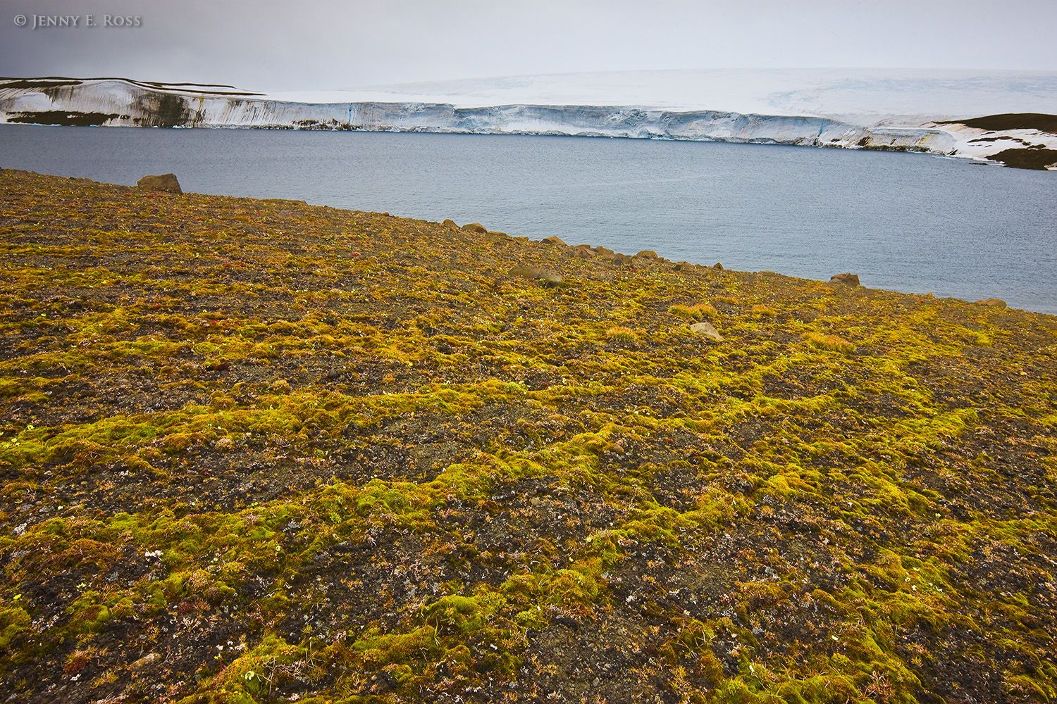 Gelifluction (or Solifluction) on George Land, Franz Josef Land, Russia
