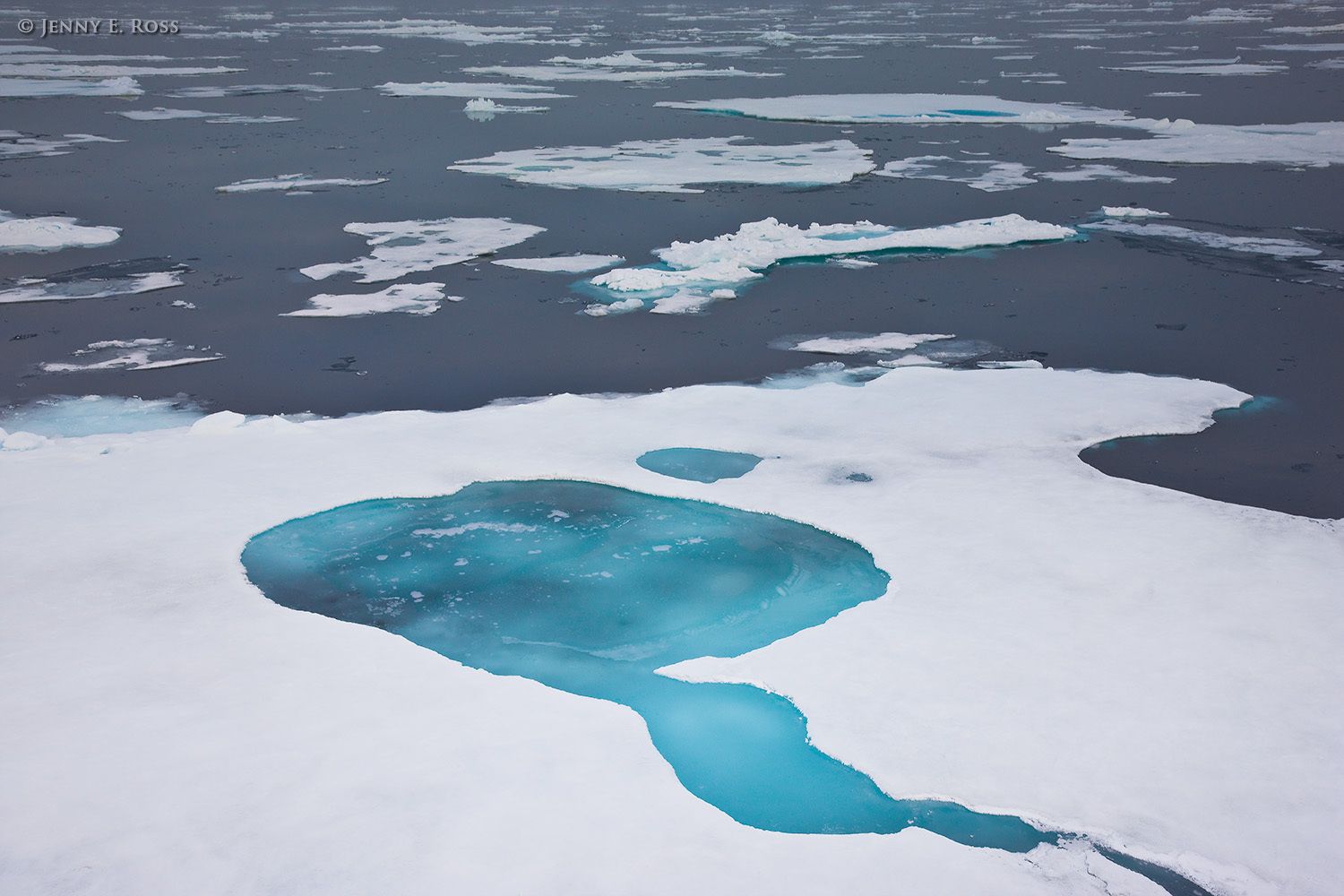 Melting Arctic sea ice near 81-degrees north.
