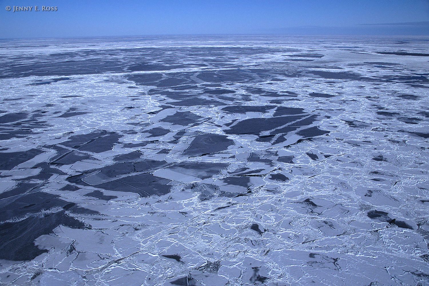 Arctic sea ice, Gulf of St. Lawrence, Canada.