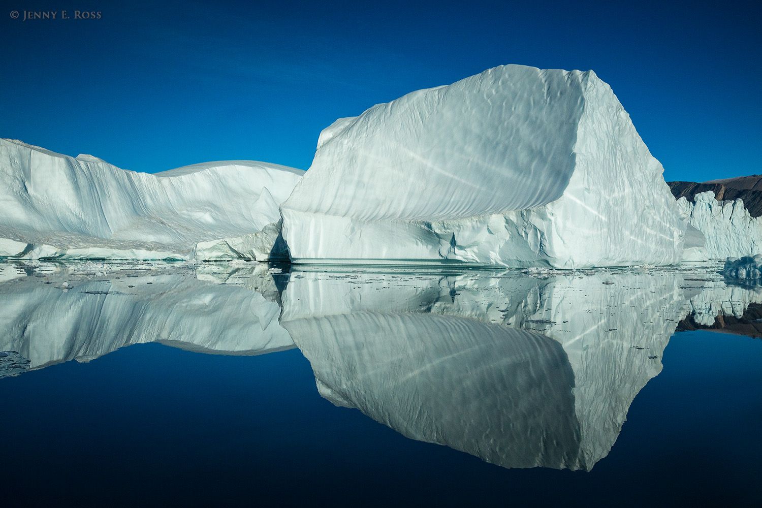 In the early morning, icebergs at Daugaard-Jensen Glacier (Daugaard-Jensen Gletscher) are reflected in the calm water of Norvest Fjord in Scoresby Sund, Northeast Greenland National Park, Greenland.