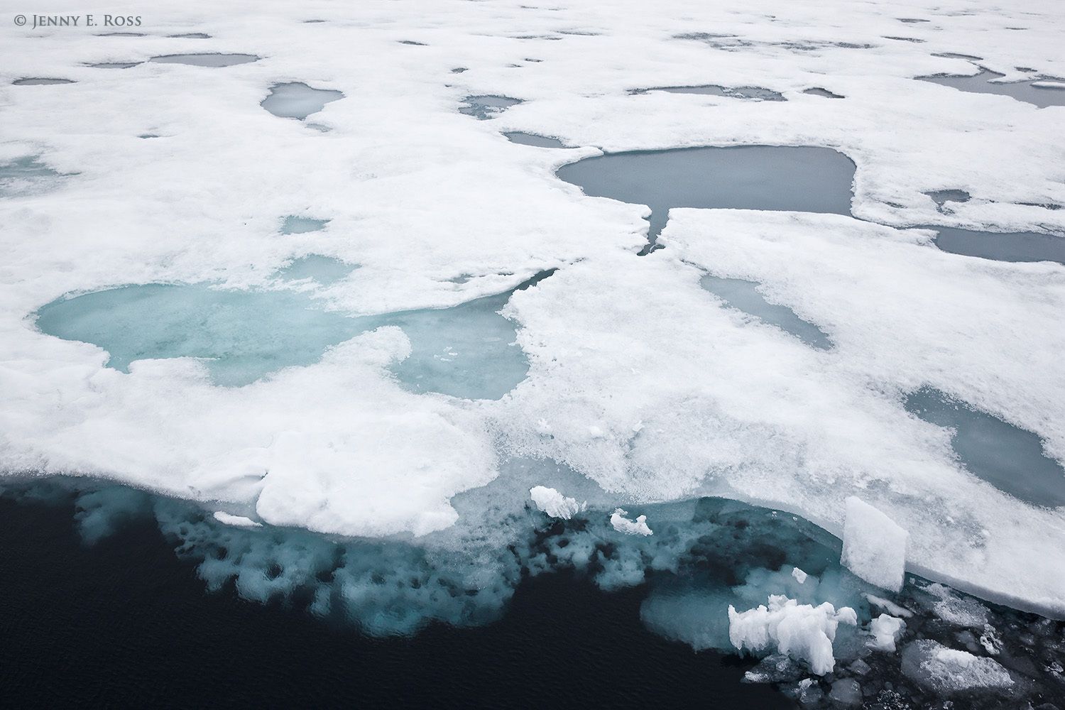 Arctic Sea Ice 1 - Life On Thin Ice