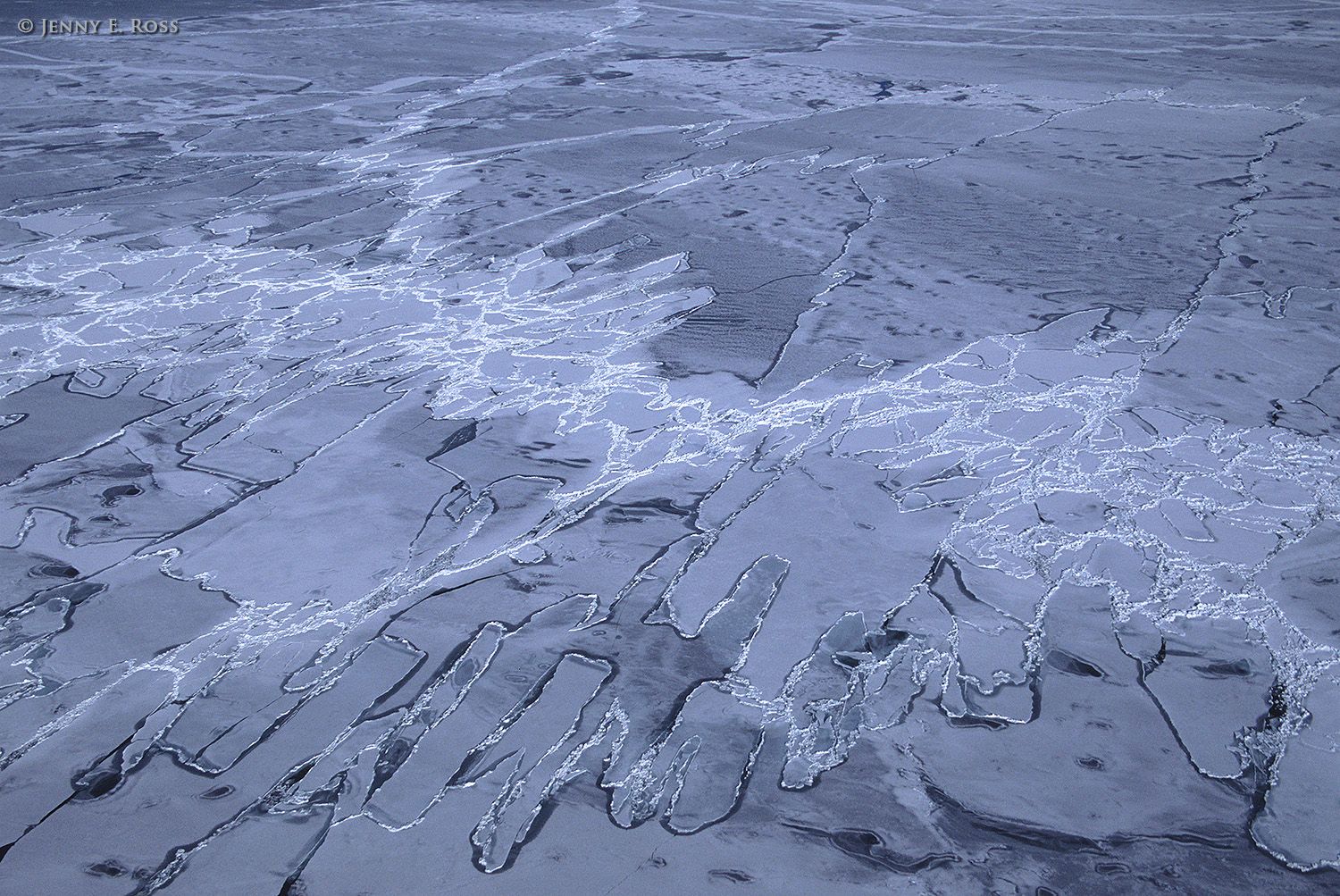 Thin fractured Arctic sea ice, Gulf of St. Lawrence, Canada