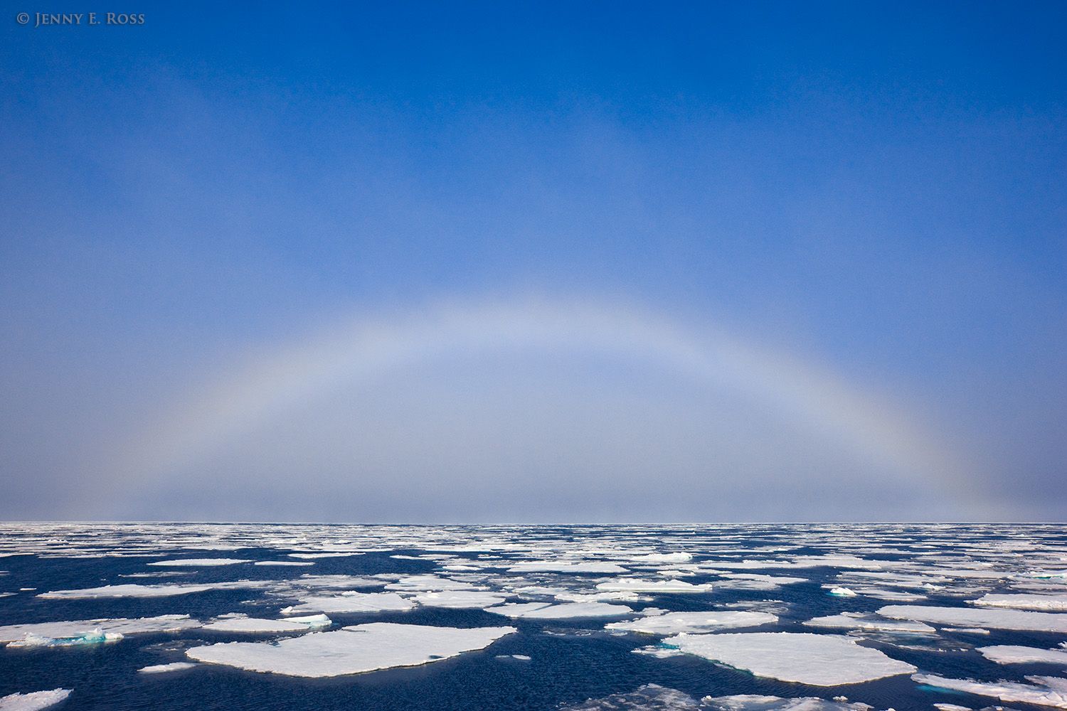 A fog bow arches across the Arctic Ocean, above fractured and melting floes of sea ice.