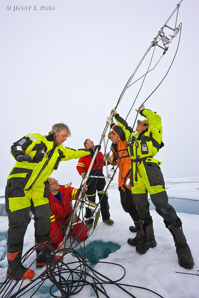 During a research expedition in the Arctic Ocean, Norwegian Polar Institute physical oceanographers Arild Sundfjord (in yellow on left) and Angelika Renner (in yellow on right), assisted by NPI engineers Tor Ivan Karlsen and Marius Bratrein, as well as student Achim Randelhoff, retrieve a scientific device they had previously deployed through a hole in the sea ice. The device is a micro-structure sonde known as a TIC -- a Turbulence Instrument Cluster. The primary function of the device, which carries numerous sensors, is to collect data concerning various ocean turbulence and flux characteristics at a particular location over an extended period of time. This work was conducted on a large floe of melting summer sea ice in the Arctic Ocean as part of NPI's 2012 "ICE" (Ice, Climate, and Ecosystems) expedition in July-August 2012. Scientific research on arctic sea ice, central polar basin, Arctic Ocean