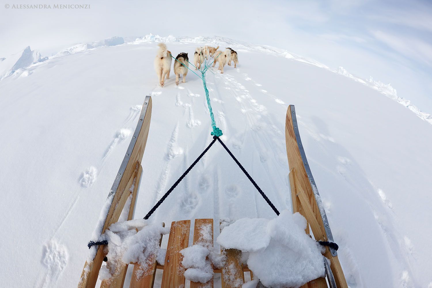 Traveling by dog sled on the sea ice in Sermilik Fjord, southeast Greenland.