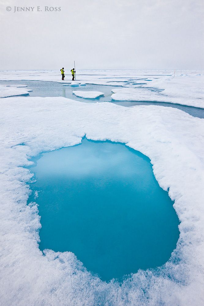 Scientific research on Arctic sea ice, central polar basin, Arctic Ocean.