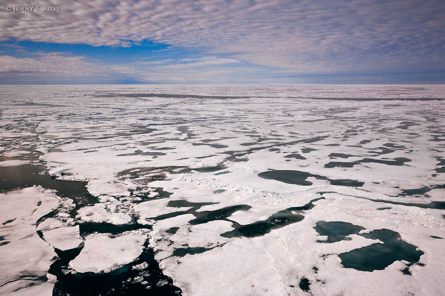 Melting Arctic sea ice in summer.