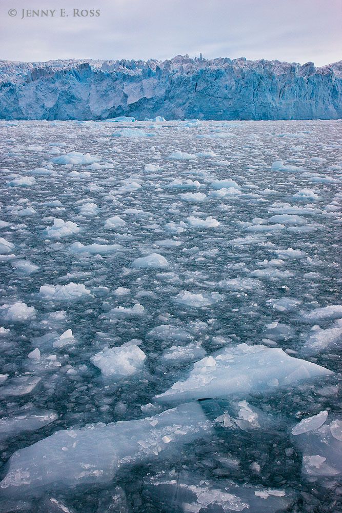 Brash ice and the calving front of the Eqip Sermia Glacier, West Greenland