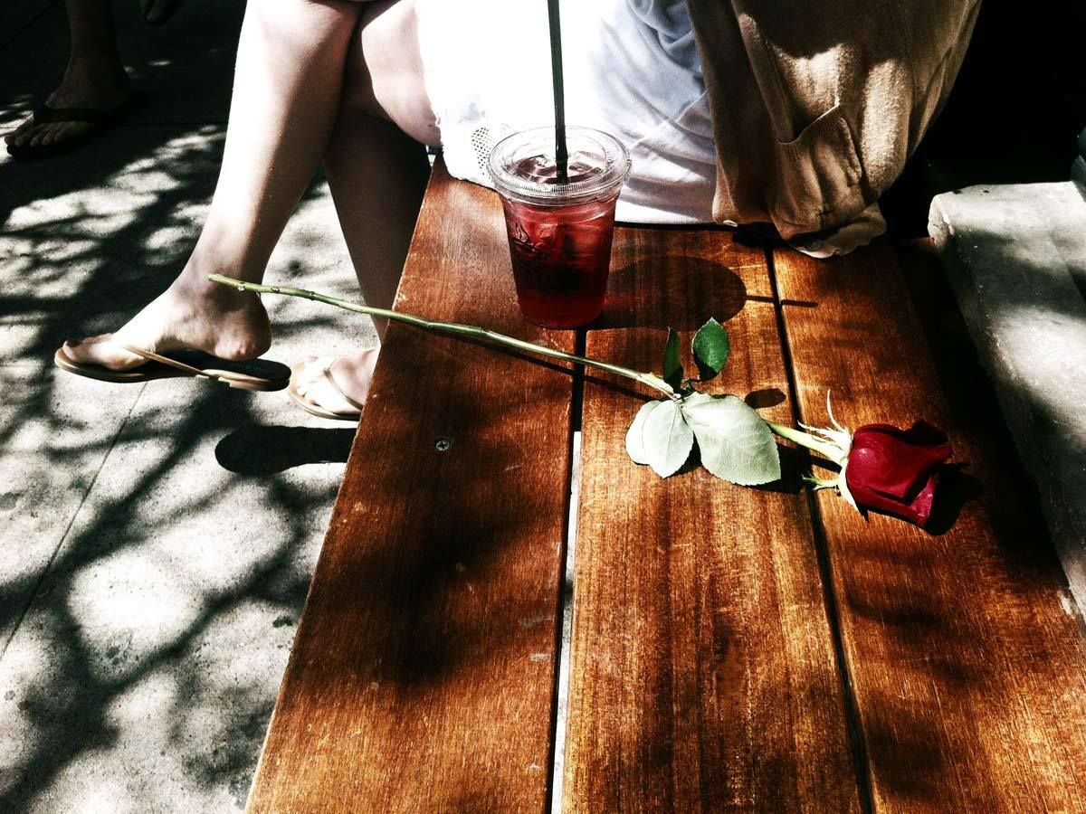 Mother's Day – a rose for mom.