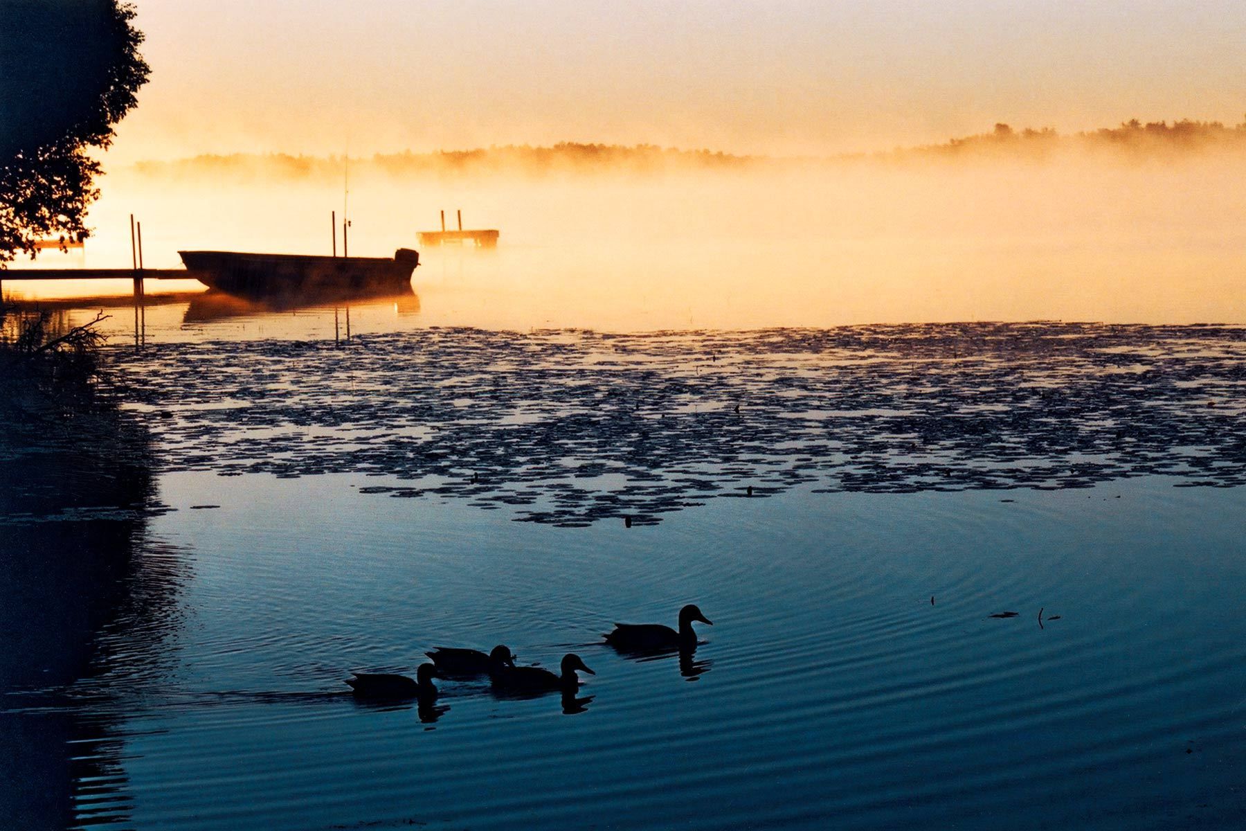 Canada - lake and ducks, a rare moment.