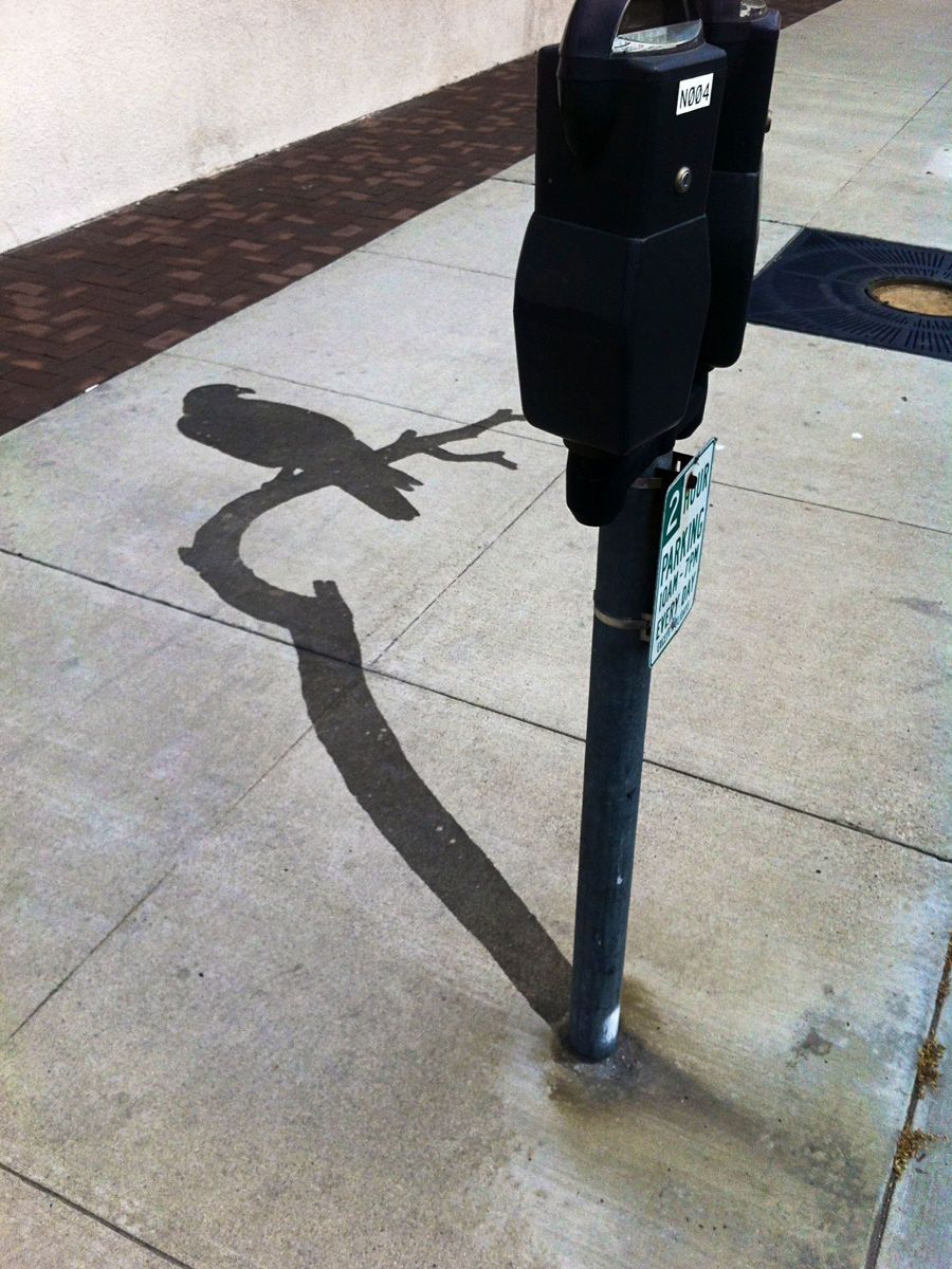 Illusion of a shadow