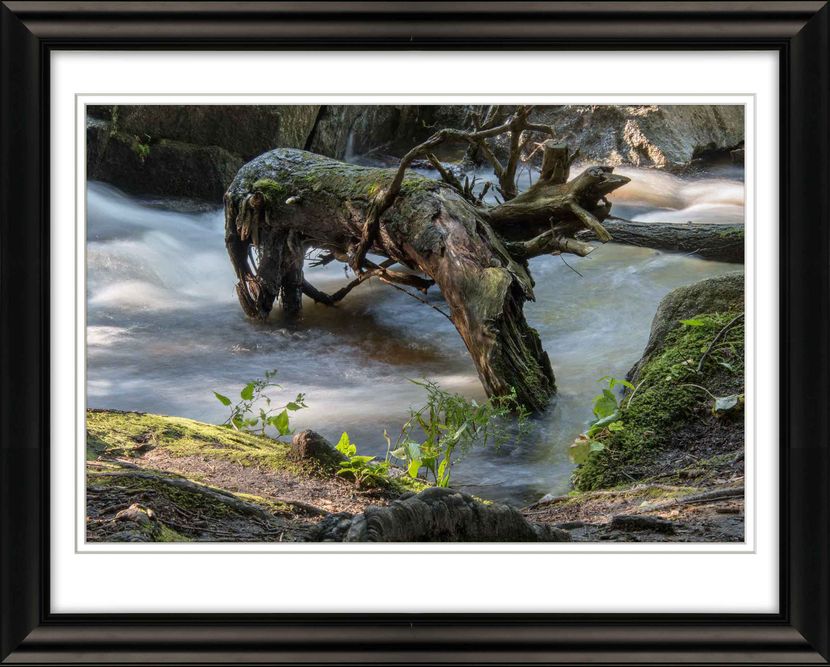 DRIFTWOOD, GLENDALE FALLS, PIONEER VALLEY, WESTERN MA #6648--Glendale-Falls-opr.jpg