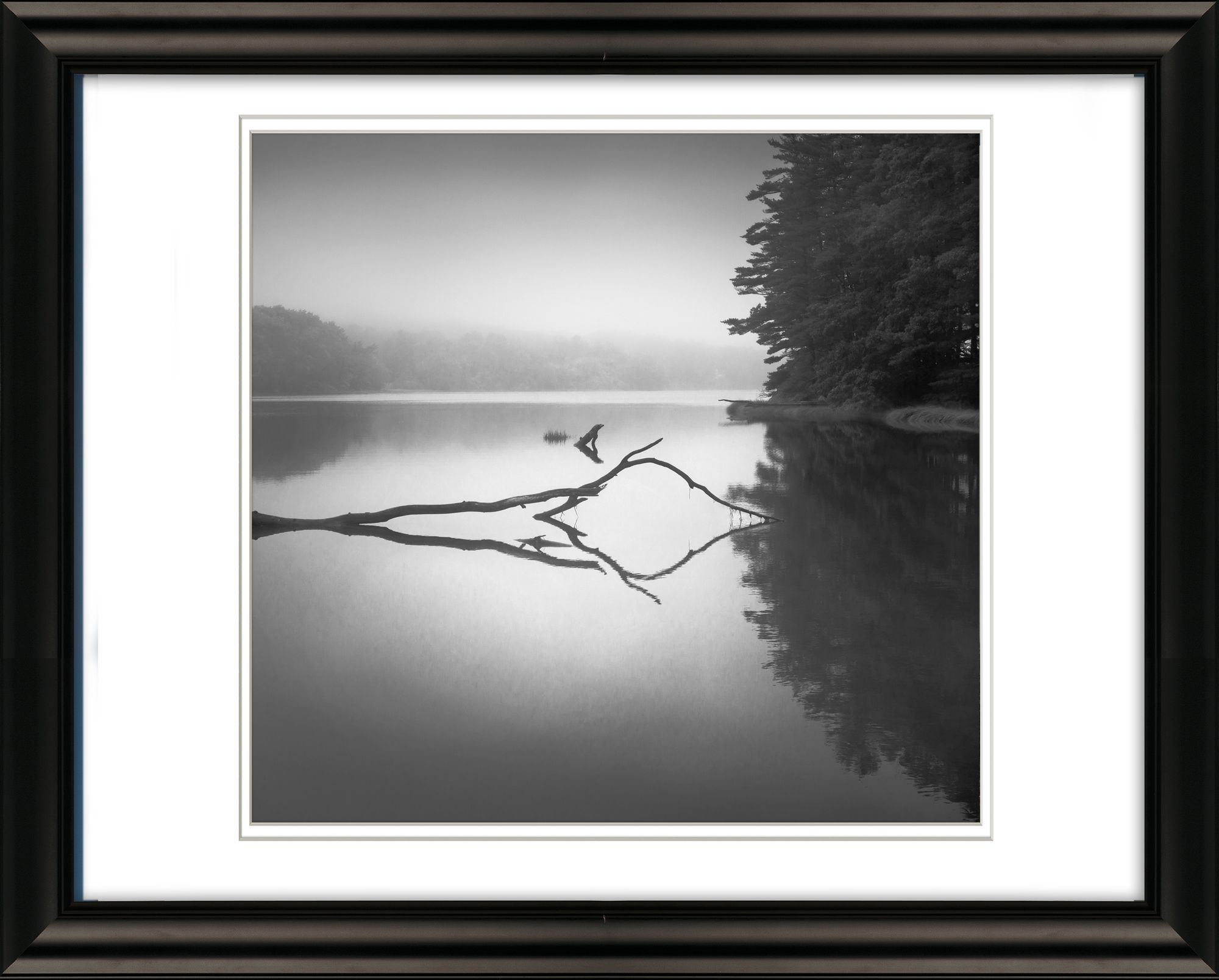 Reflection of Wood in Lake with Fog, Maine