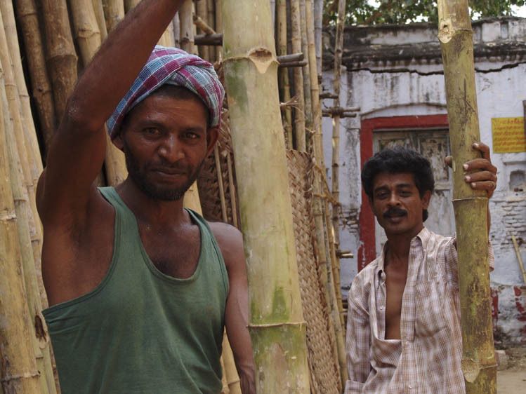 Bamboo timber sales, Madurai, Tamil Nadu