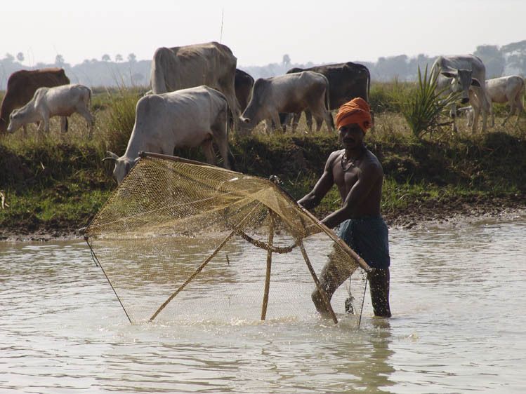 Orissa fisherman
