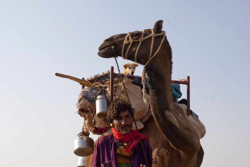 India, Gujarat, nomad